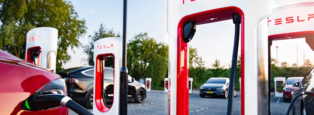 Илон Маск не спешит открывать в Украине зарядки для Tesla