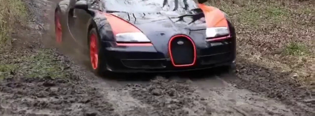 Ferrari, два Bugatti и два Lamborghini устроил дрифт по бездорожью