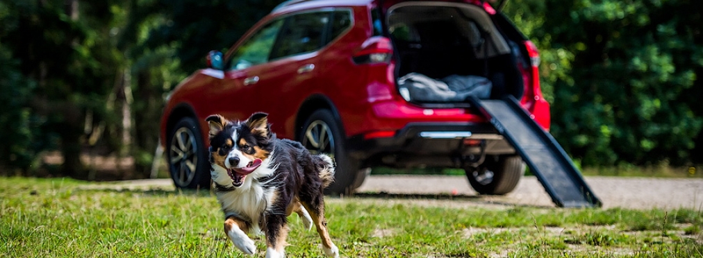 Компания Nissan позаботилась о четырехлапых друзьях человека