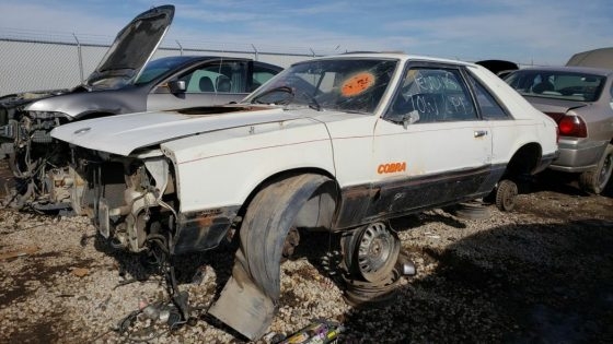 Редкий Ford Mustang Cobra нашел приют на свалке