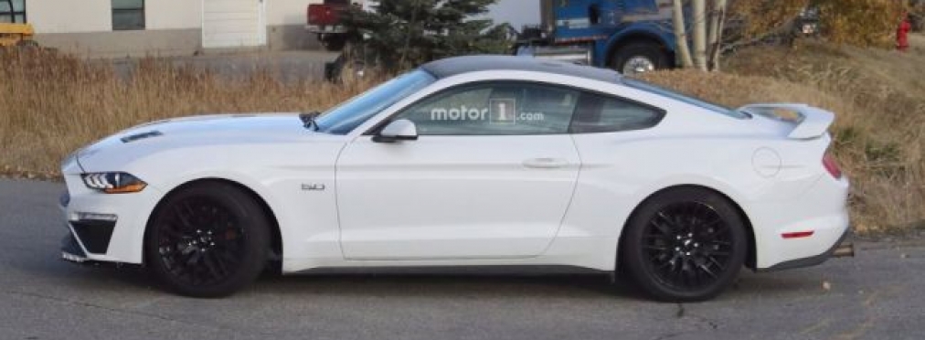 Ford вывел новый Mustang Roush на тесты