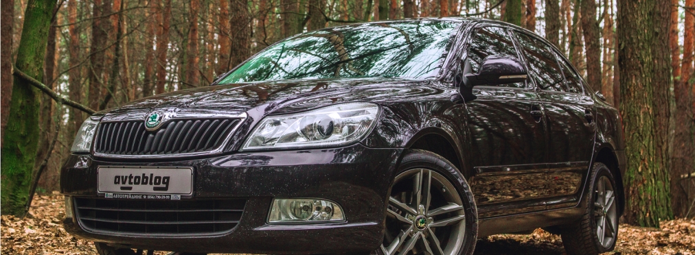 «Практичность и простота»: тест-драйв Skoda Octavia A5